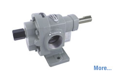 Rotary Gear Pump in Ankleshwar