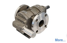 Rotary Twin Gear Pump in Ankleshwar